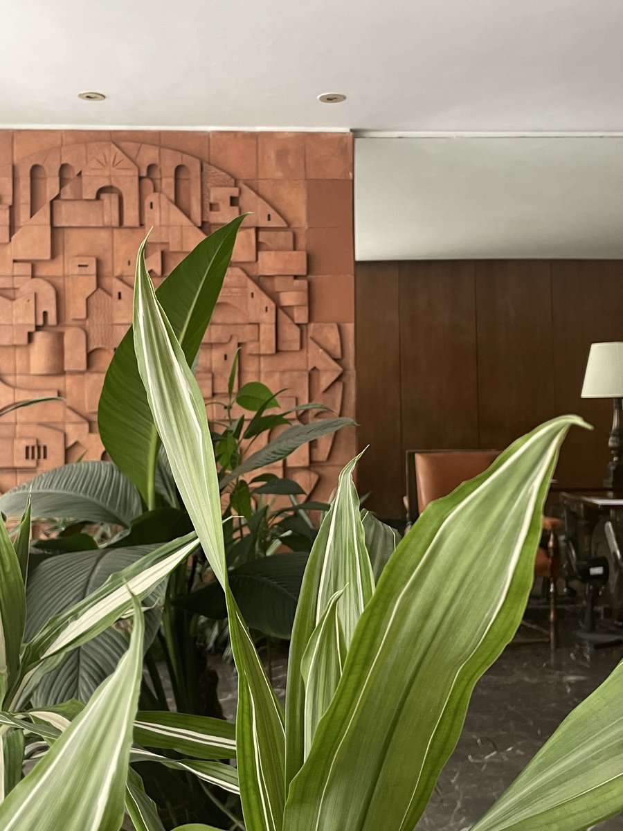 エルド吉水🎱𝙀𝙡𝙙𝙤 𝙔𝙤𝙨𝙝𝙞𝙢𝙞𝙯𝙪 tweet media