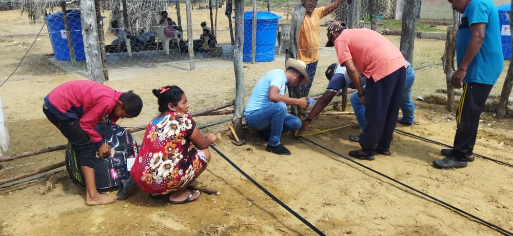 FAO VENEZUELA tweet media