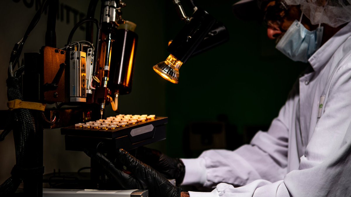 ModernFlower tweet media