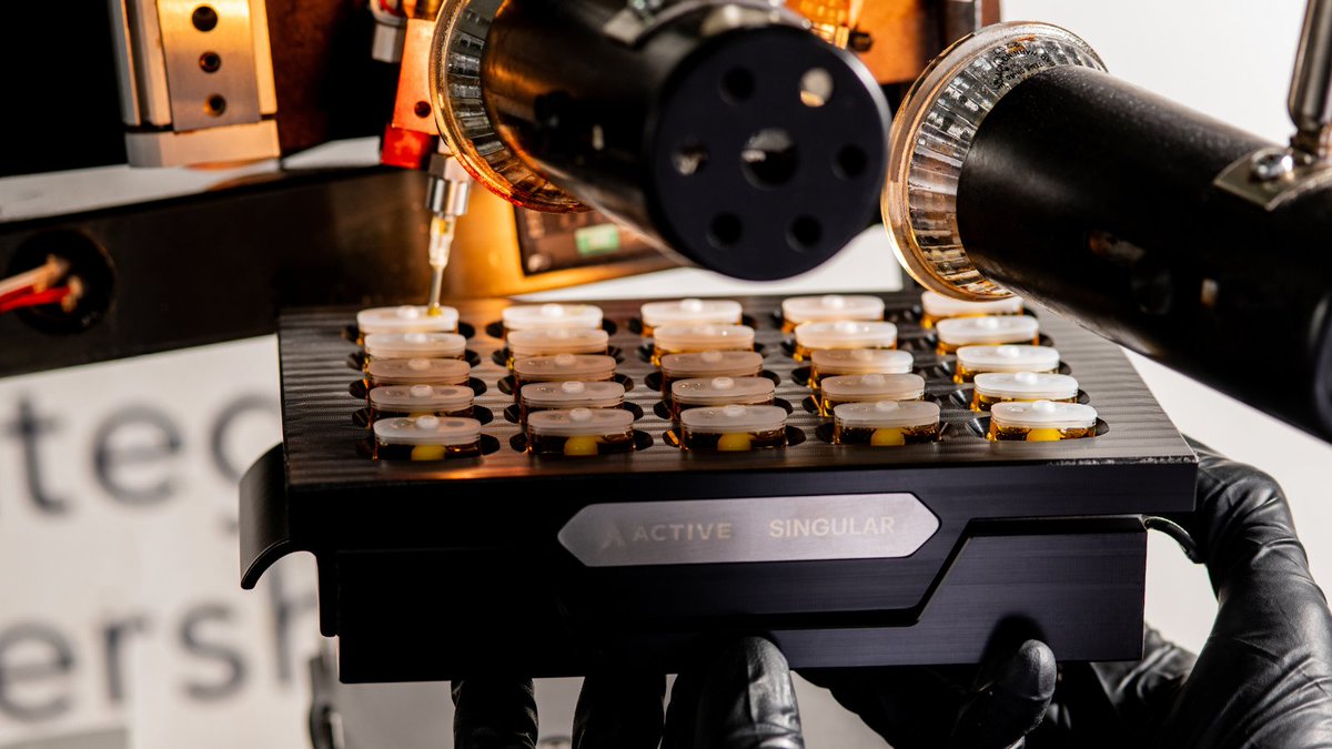 ModernFlower tweet media