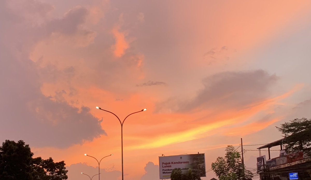 K. (@bloompetails) on Twitter photo 