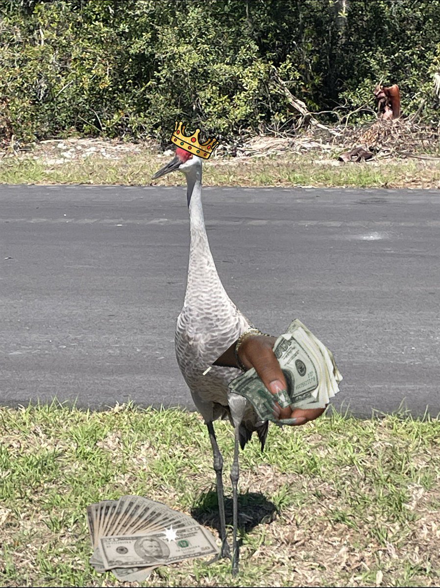 SinOfSloth🦥🫩 tweet media