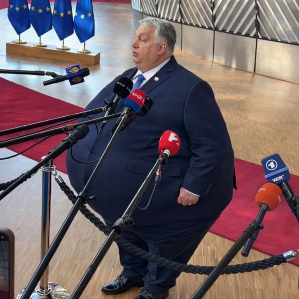 Gentlemenel tweet media