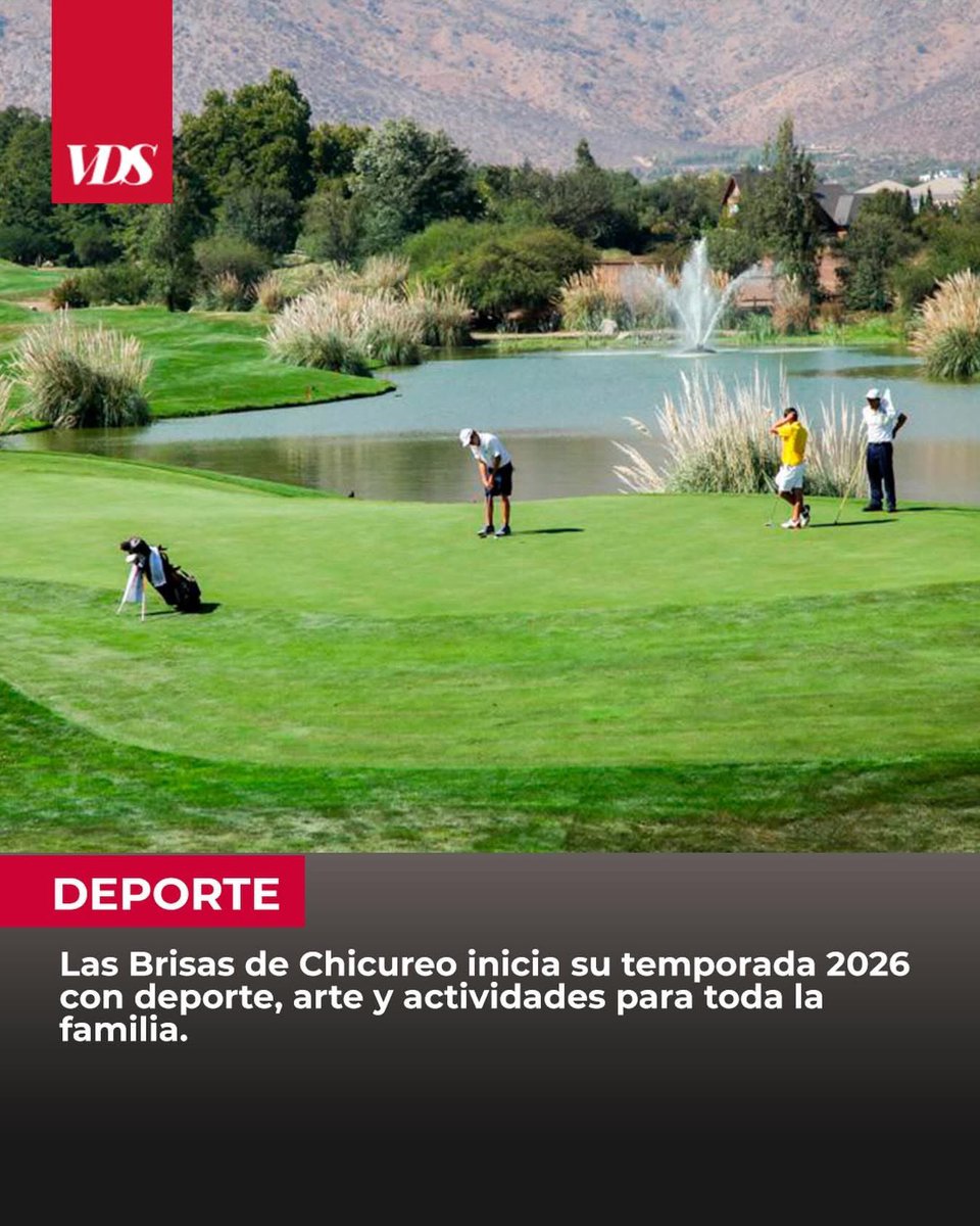 VDSChicureo tweet media