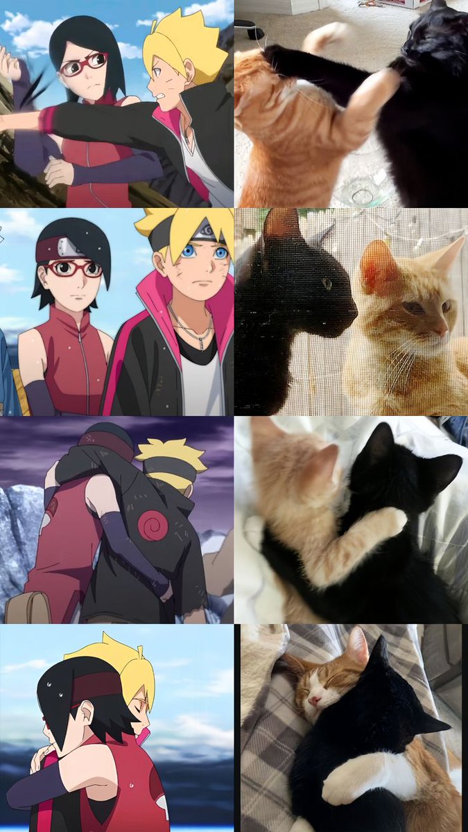 You gotta hear the... { Borsa CANON 💯 } tweet media