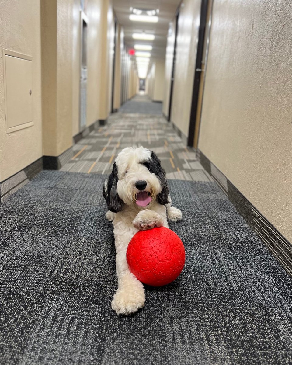 Summer Discovery tweet media