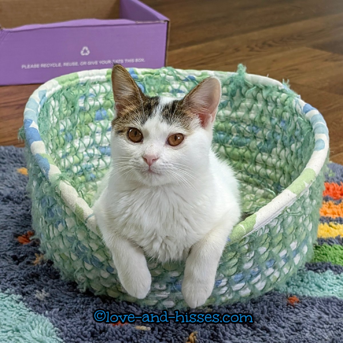 Robyn Anderson tweet media