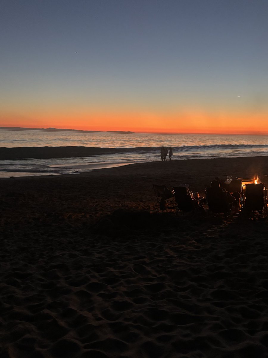 Gabriella Corsale tweet media