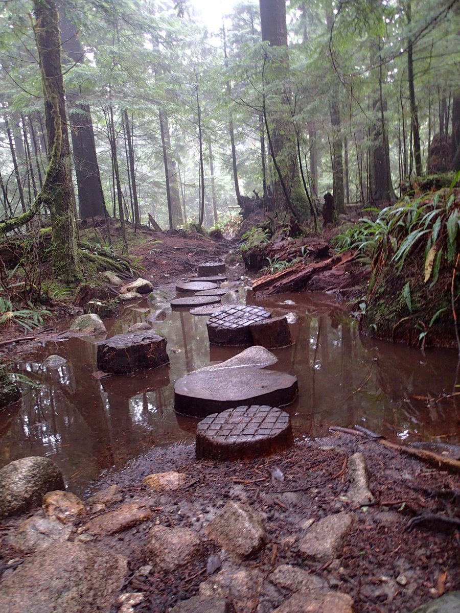 Trans Canada Trail 🇨🇦 tweet media