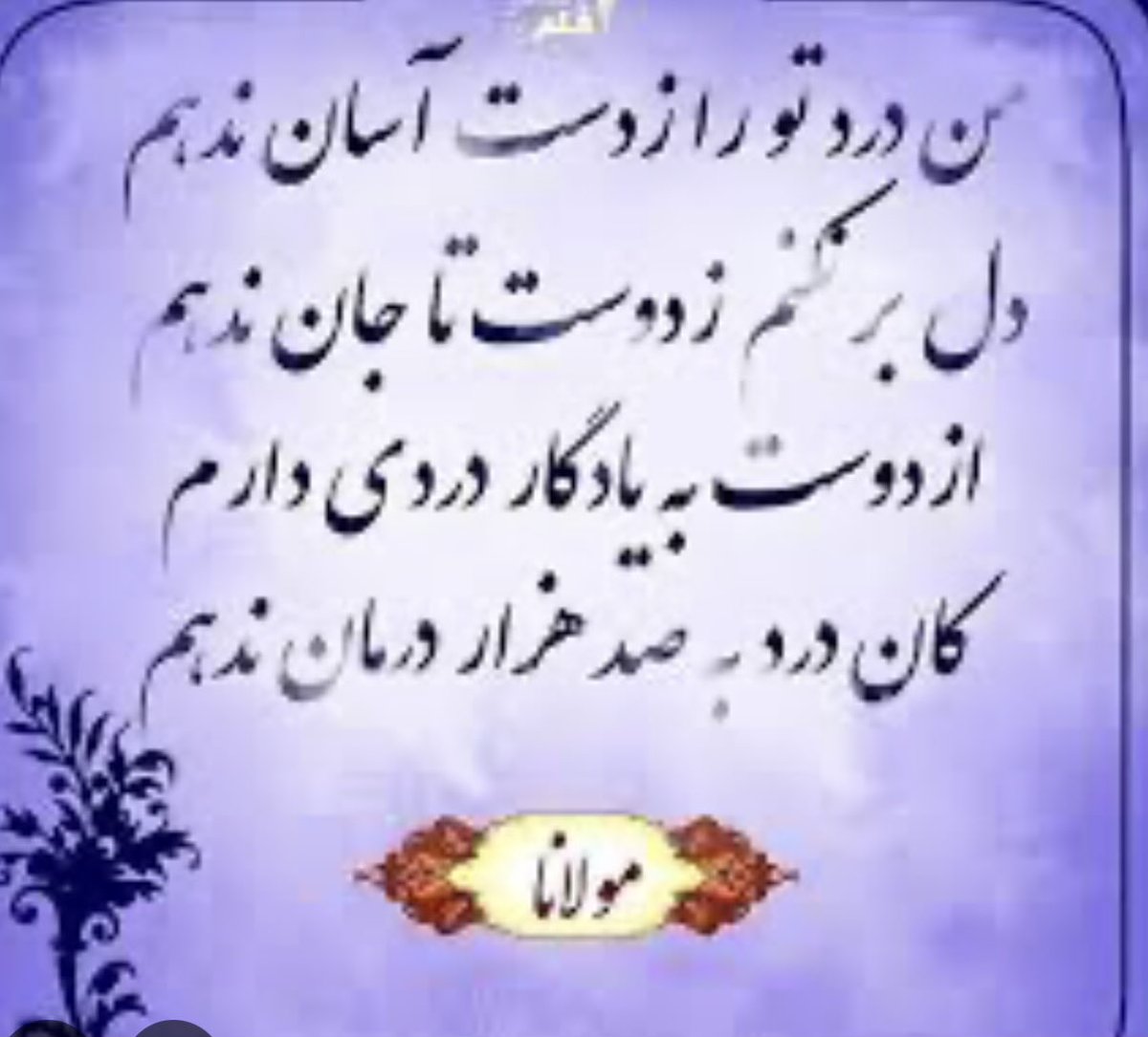 Deviser☕️ tweet media