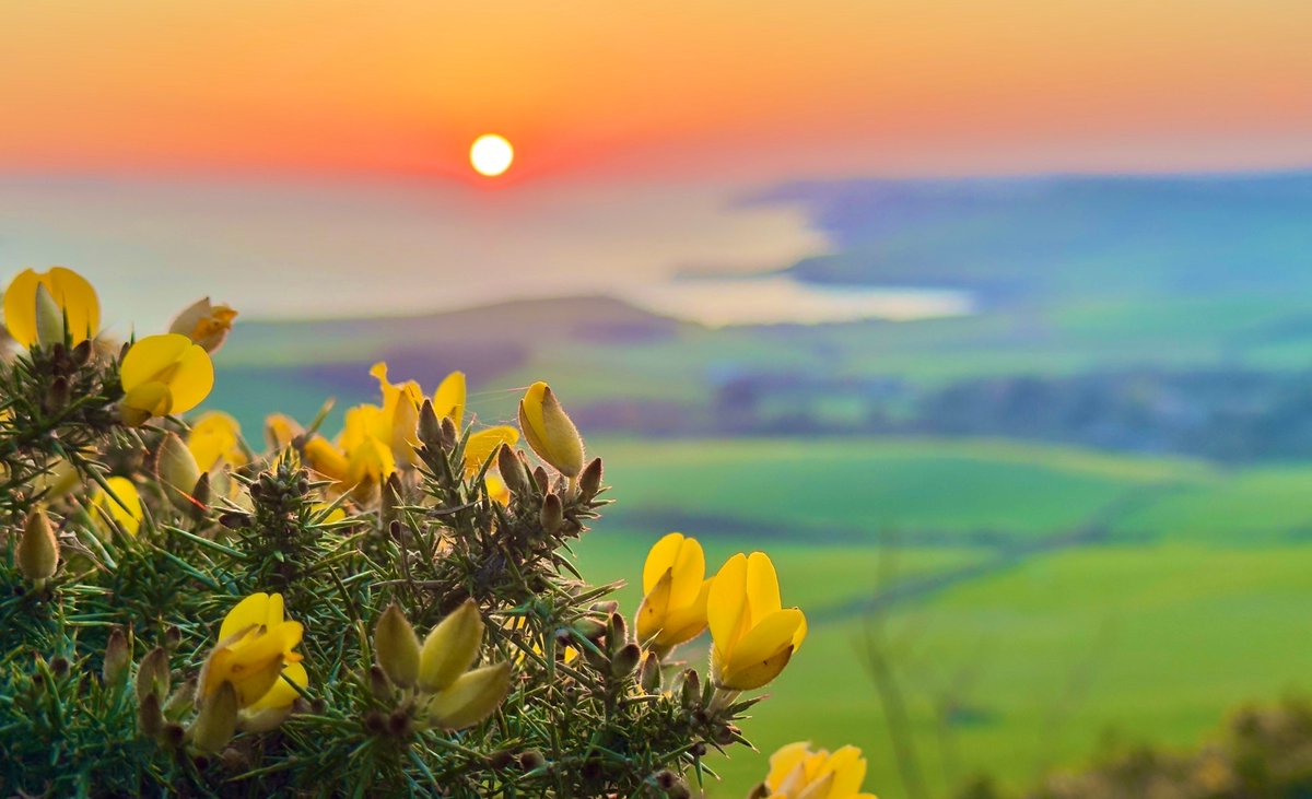 Ninebarrow tweet media