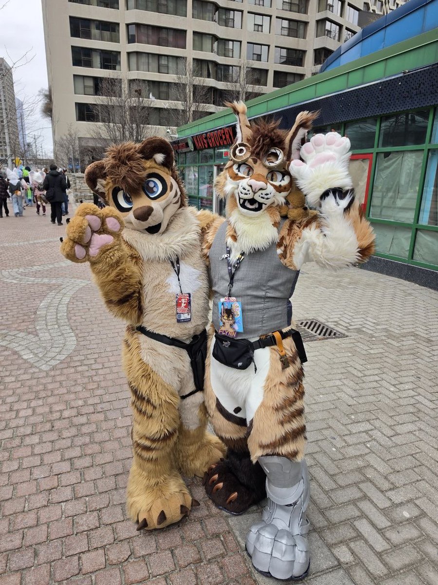 Torin Sol tweet media