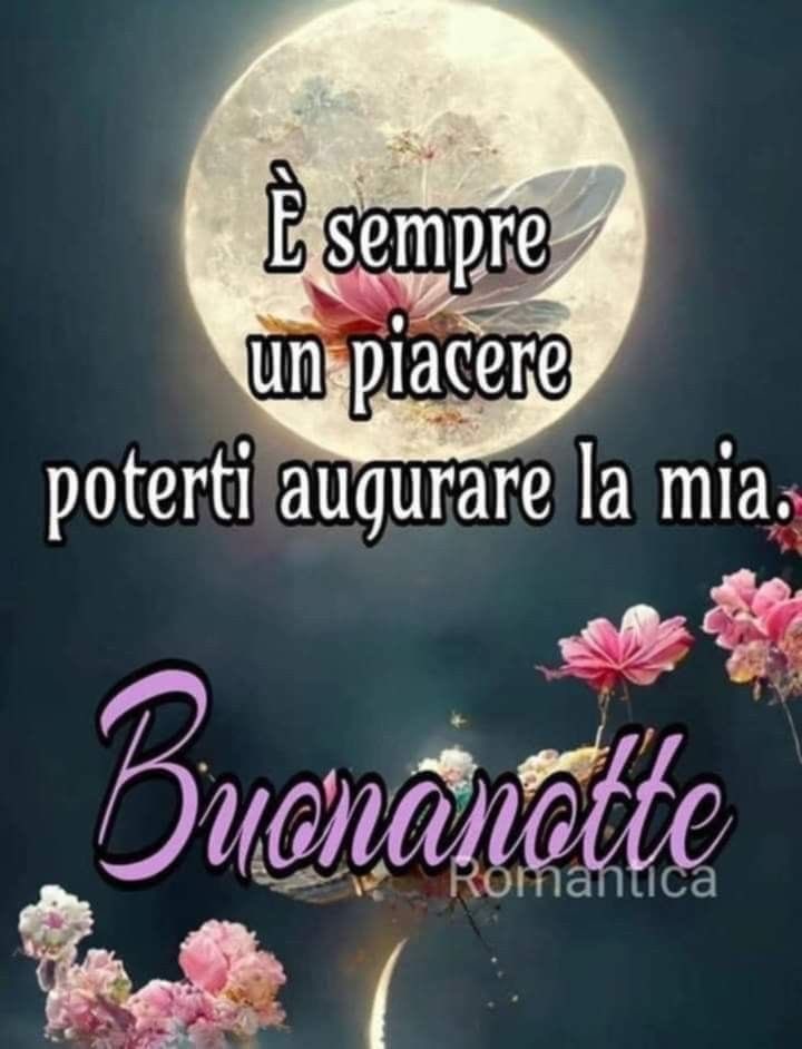 Nina Di Lascio tweet media