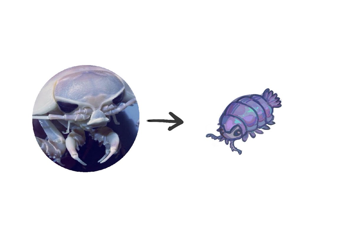 🌧️🐛 io tweet media