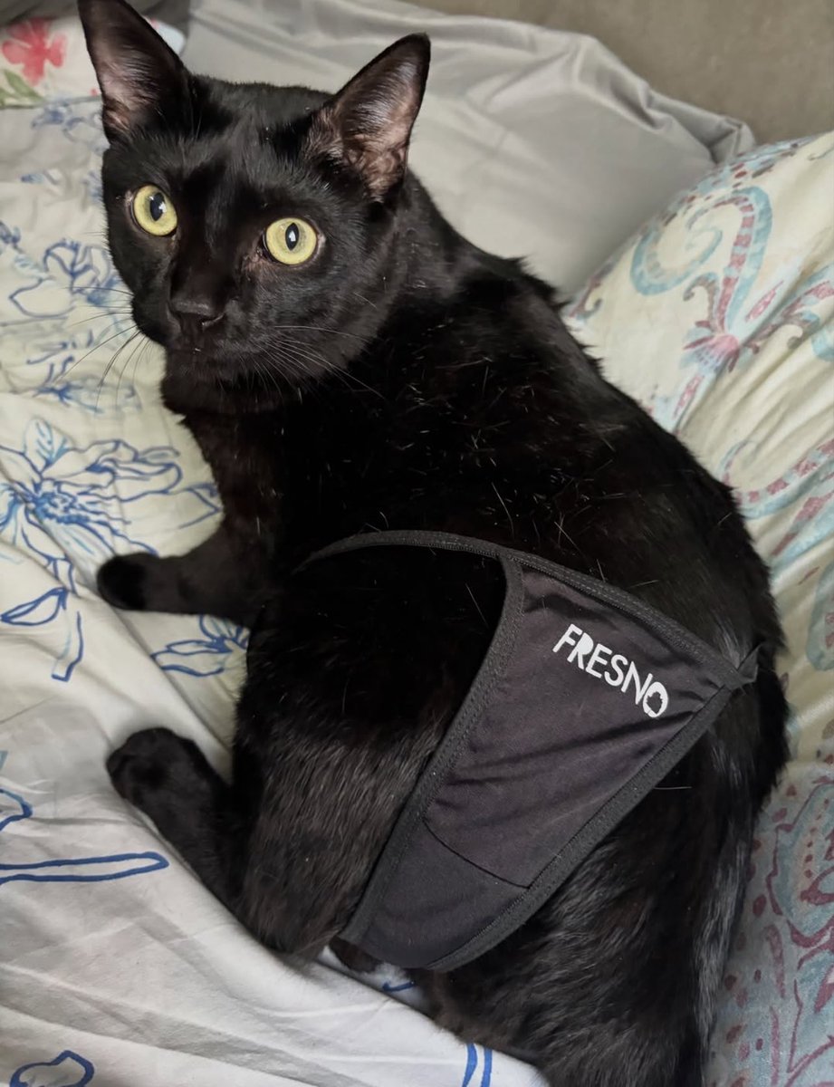 Glainá Boucinha • 👛 tweet media