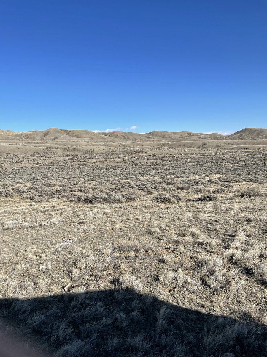 KC NoDak Brim 🇺🇸 tweet media