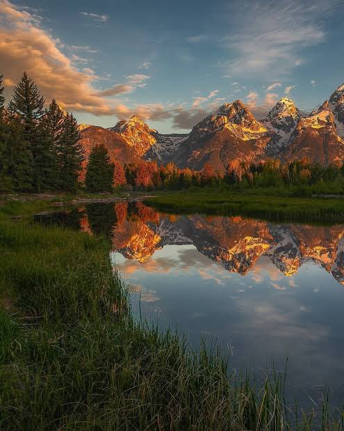 KC NoDak Brim 🇺🇸 tweet media