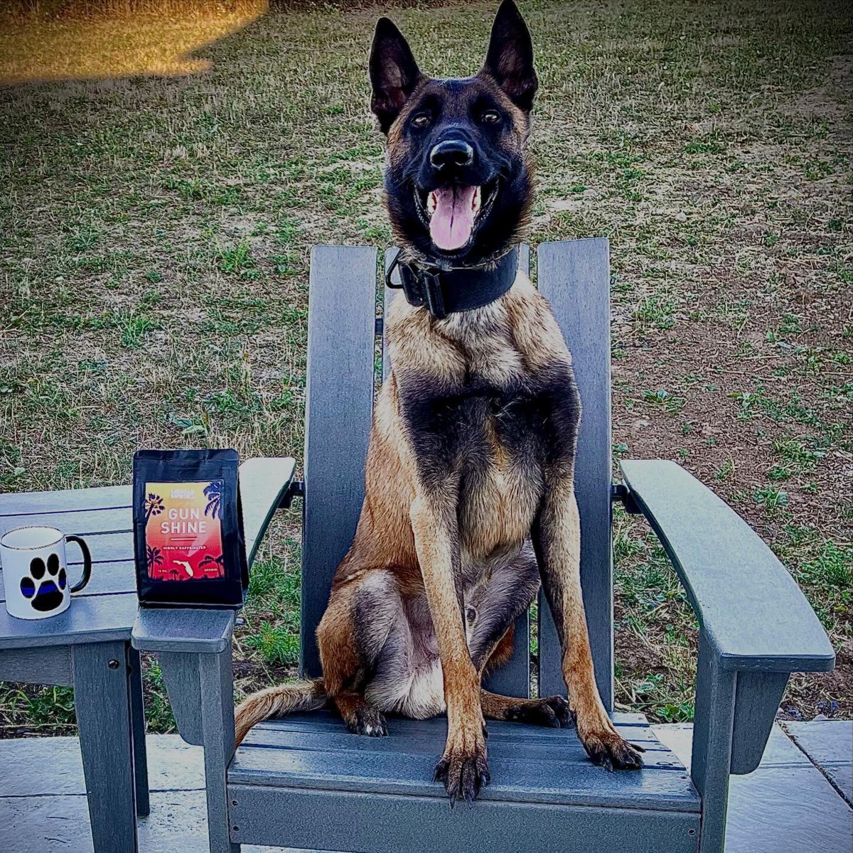 Retired Police Canine Foundation tweet media