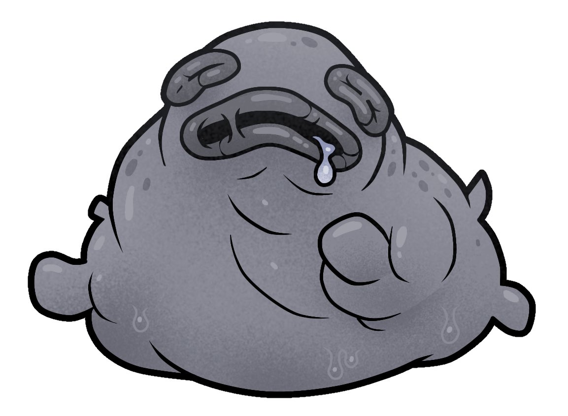 BOUNCY BORIS 🍊 tweet media