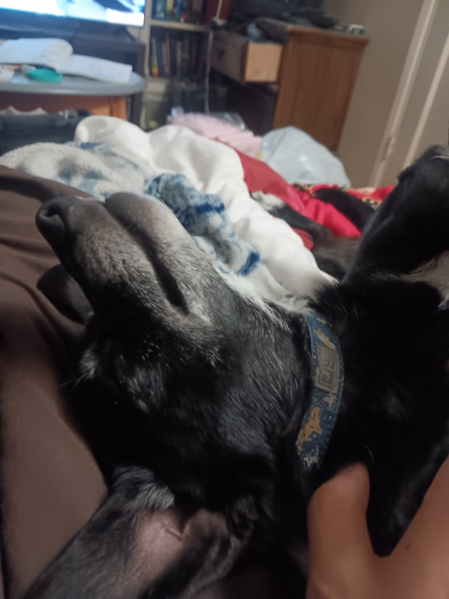 Ethan Davenport tweet media