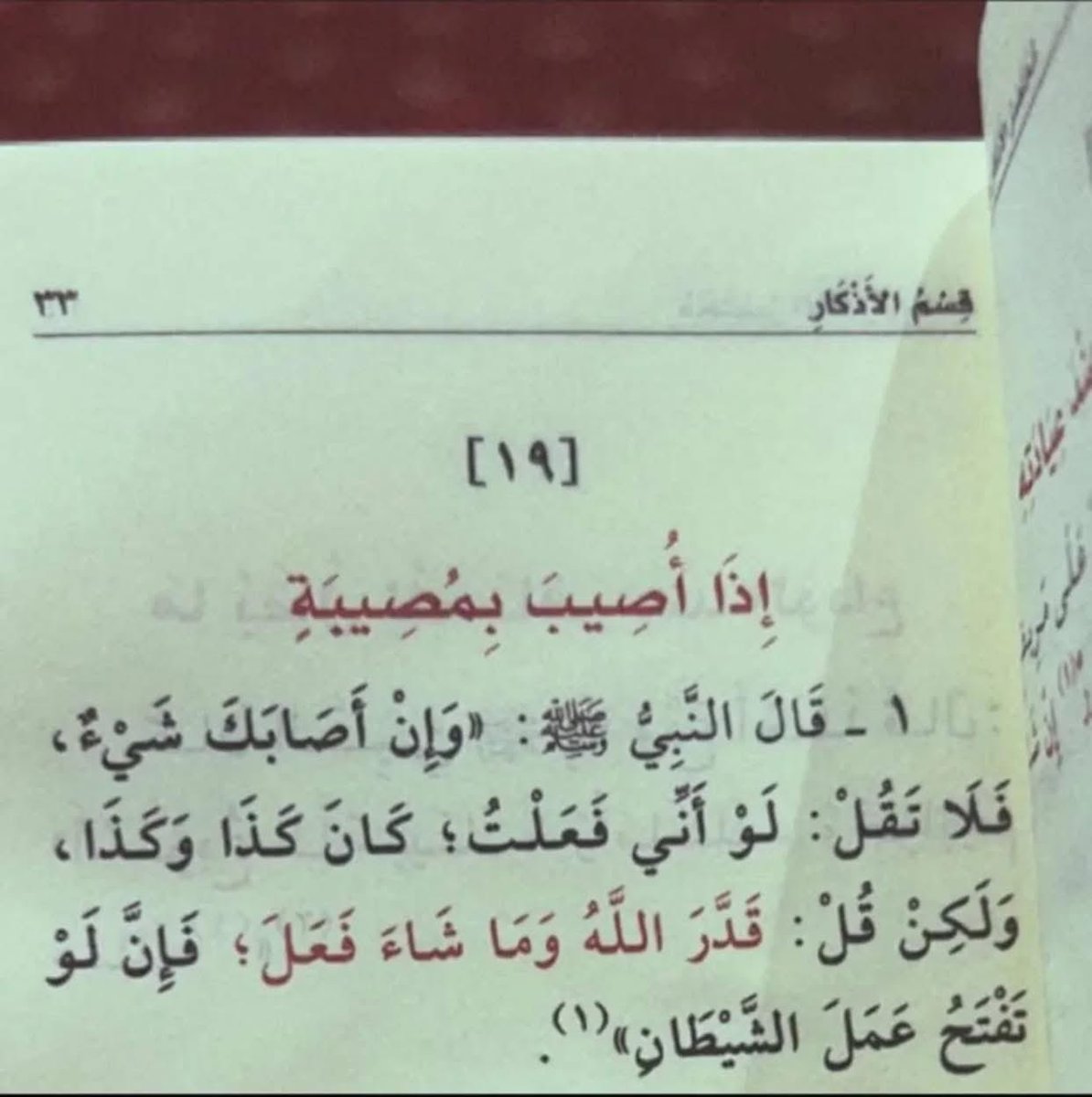 Voices from paradise tweet media