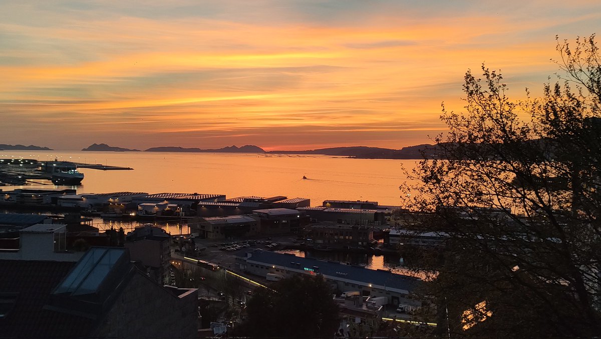 PuestadesolVigo tweet media