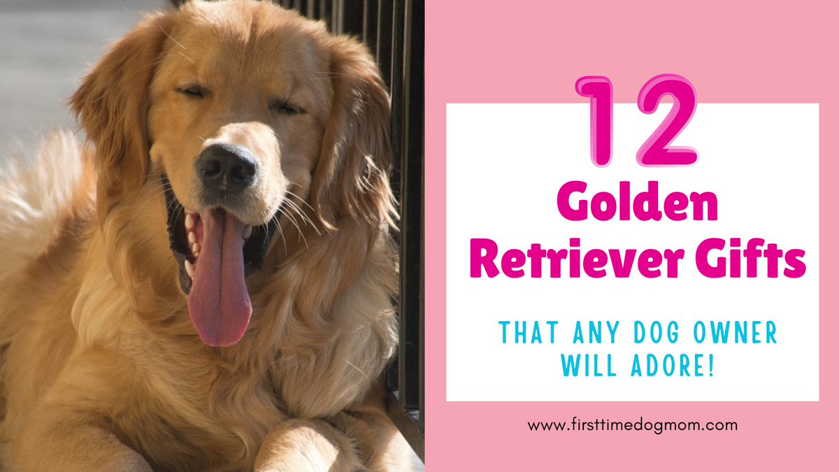 Struggling to find the perfect gift for a Golden Retriever lover? This list has 12 ideas they will actually use and enjoy.
firsttimedogmom.com/gifts-for-gold…
#GoldenRetrieverGifts #DogOwners #GiftGuide #PetLovers #EtsyFinds