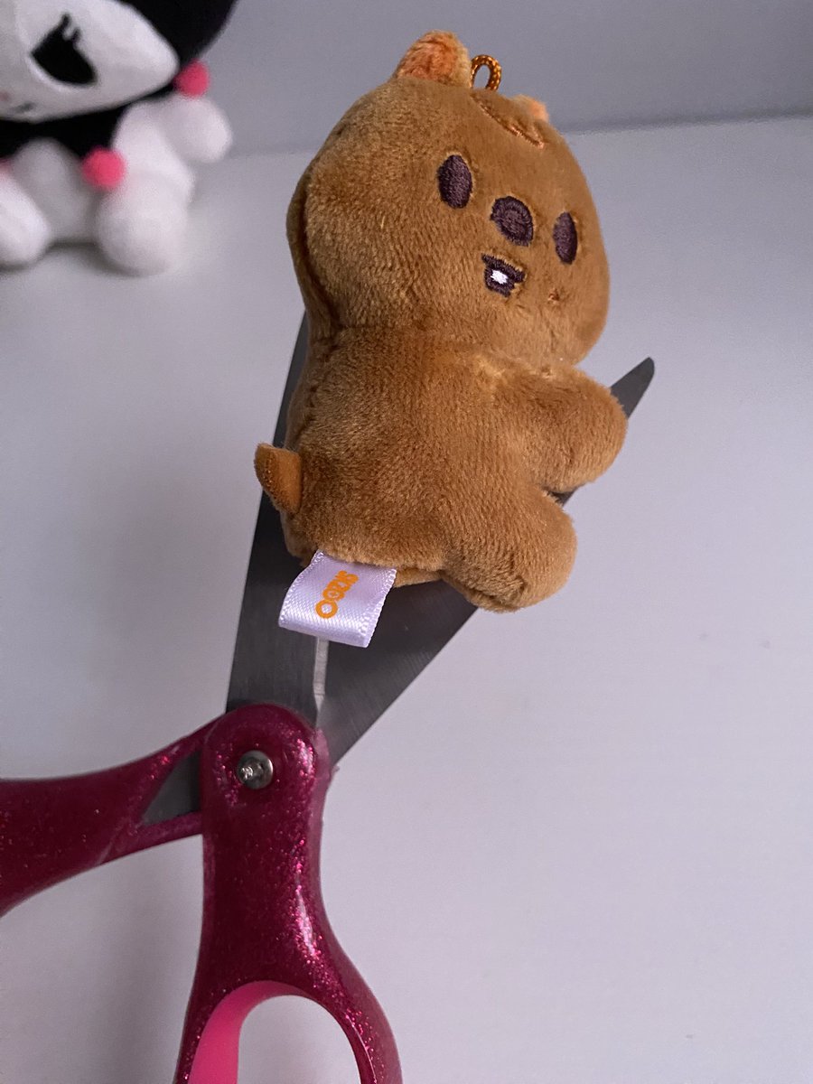 nibbel (๑ᵔ⤙ᵔ๑) tweet media