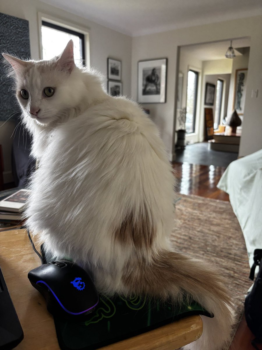 Kami 🇨🇦 tweet media