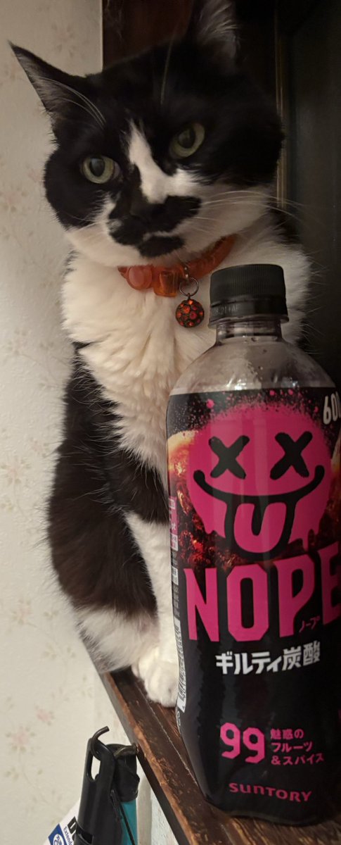 みんみん♡モッチャン☆湘南の風の君☆♡ tweet media