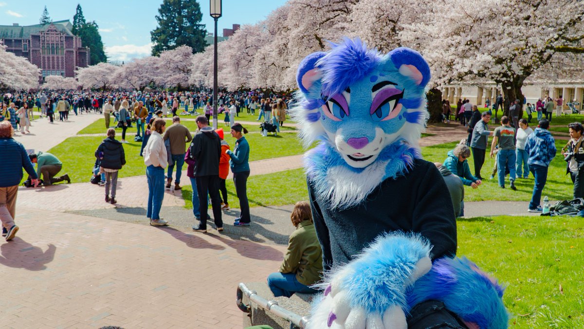 Kivvy Cat! tweet media