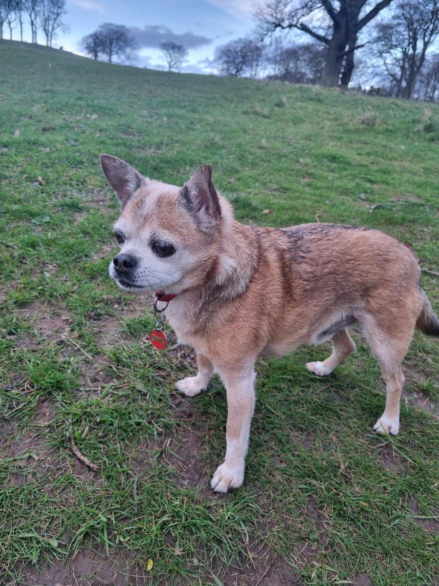 Netmums 💕 tweet media