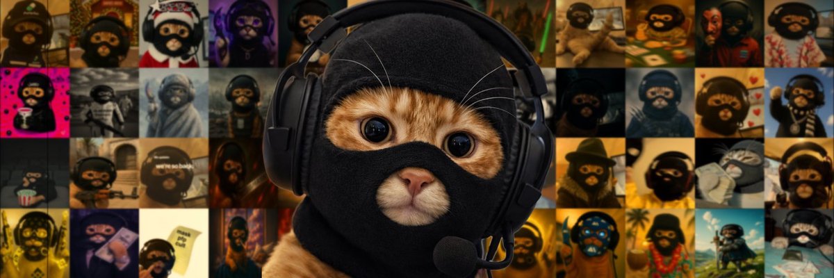 catwifmask official tweet media