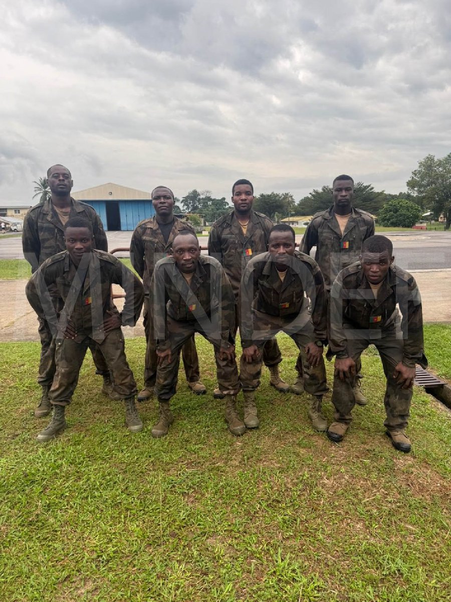 Ministère de la Défense du Cameroun tweet media