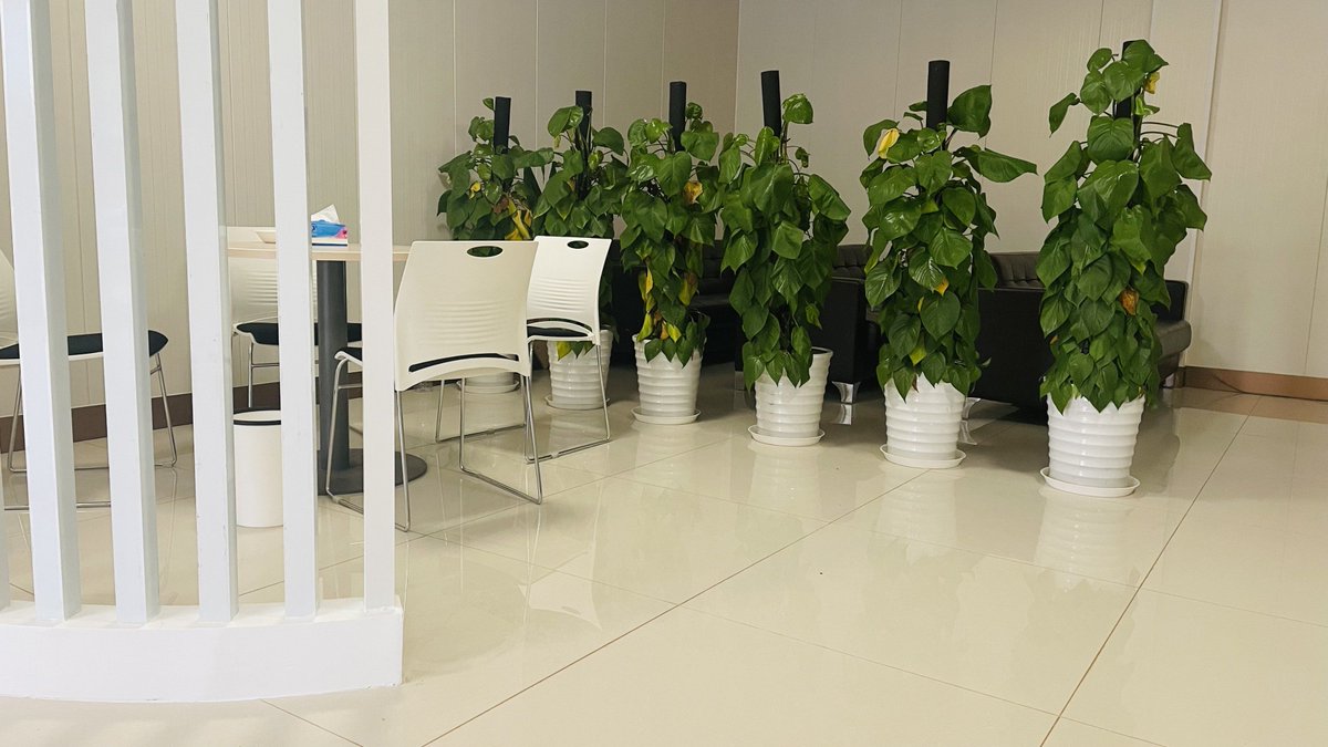 christopher tweet media