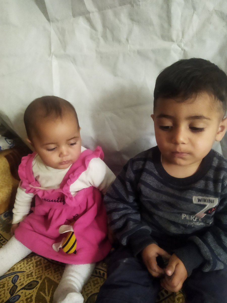 Reem Hamad tweet media