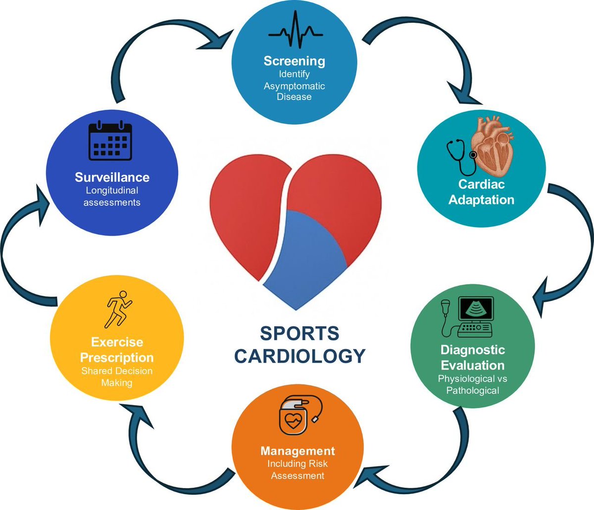 Sports_CardioNL's tweet image. Sports cardiology for the general cardiologist
heart.bmj.com/content/heartj…
#SportsCardiology #competencies #adaptation #athlete