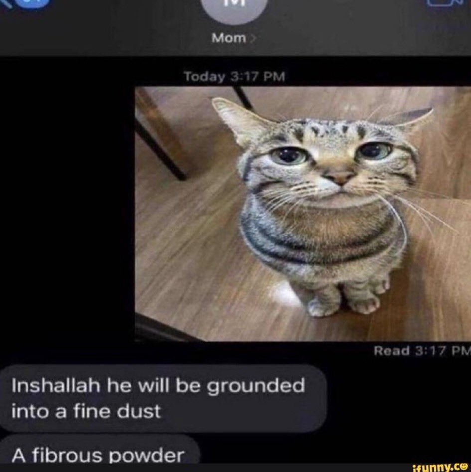 DB 🐶💔 tweet media