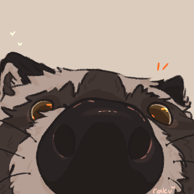 raku 🤎 tweet media