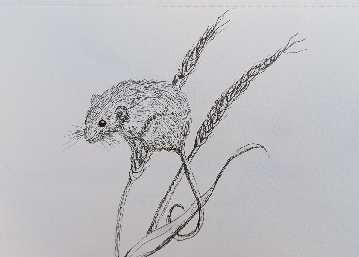 Patricia Day tweet media