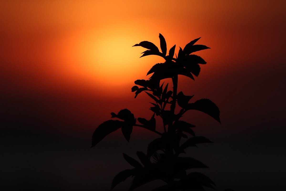 Alberto Sxenick tweet media