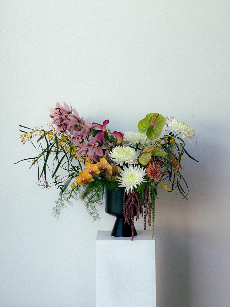 bre morell tweet media