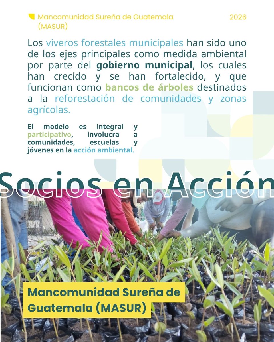 ICLEI - México, Centroamérica y el Caribe tweet media