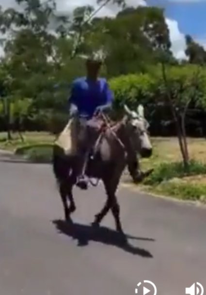 Shitcoin₿ase🇺🇦🇨🇦 tweet media