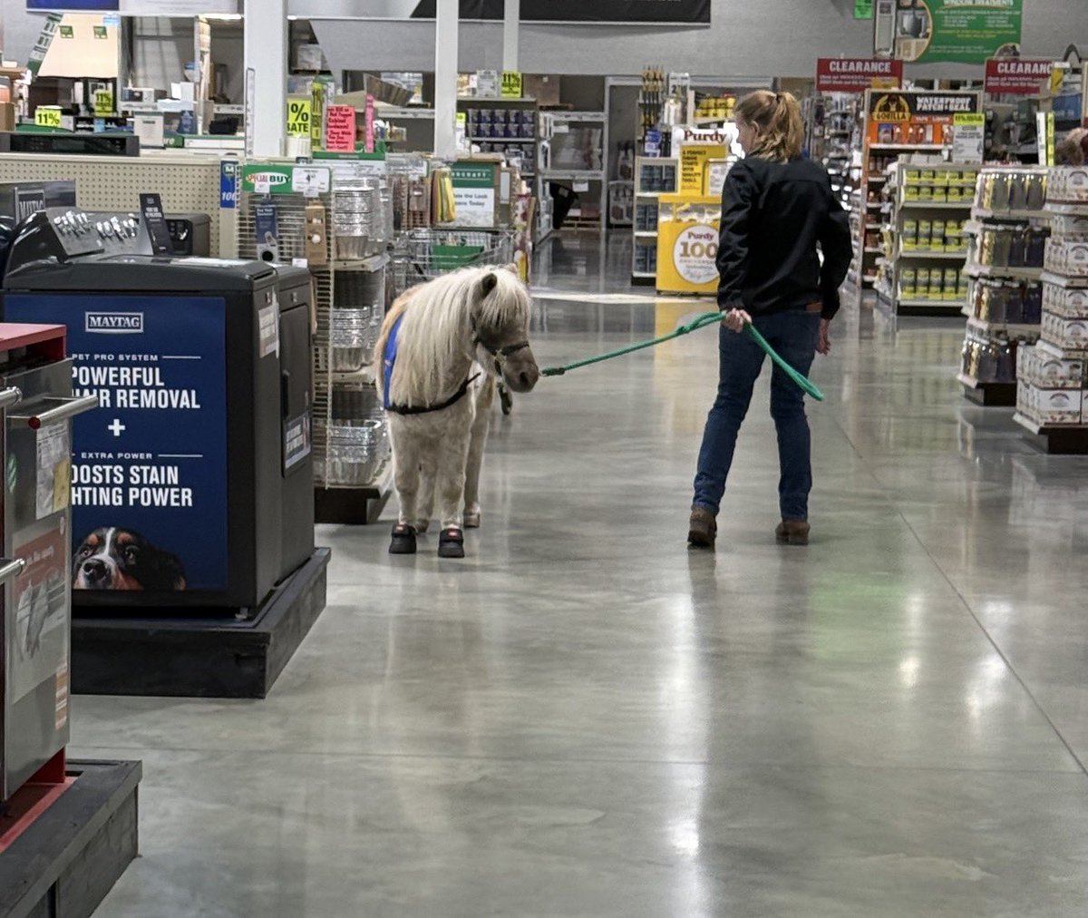 BALLBAKEDTAKES's tweet photo. Don’t see this everyday #menards 
Immediately sent to my mom 🤣 https://t.co/rTSGYsuIVu