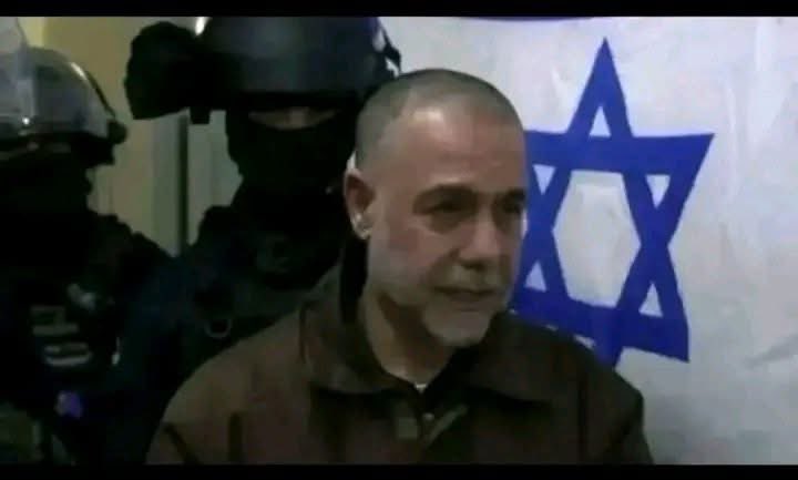 Siyaa ⵣ ❤️🇵🇸 tweet media