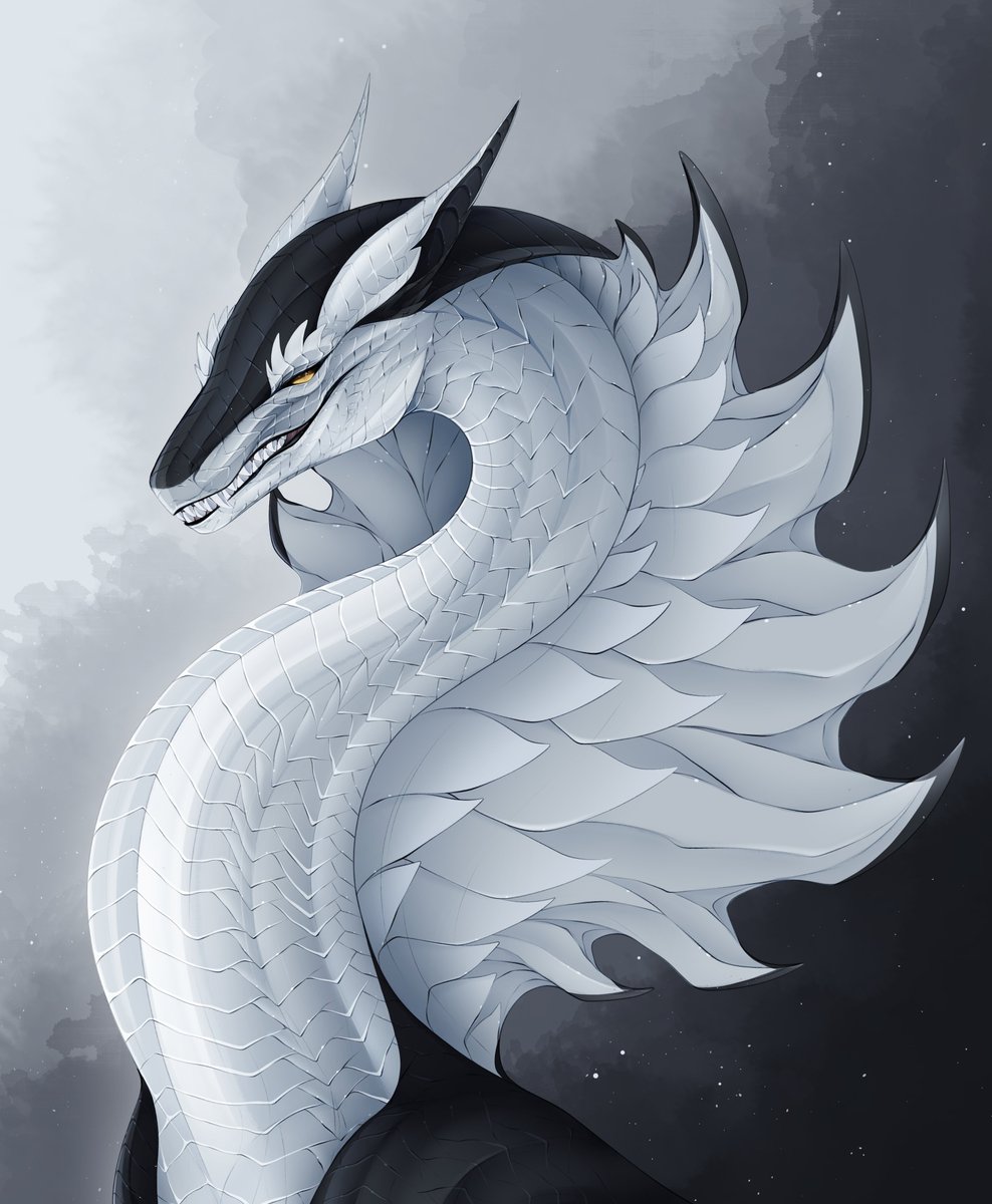 DittoMay🕊 tweet media