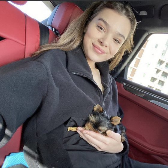 GO CHIEFS ❤️💛 tweet media