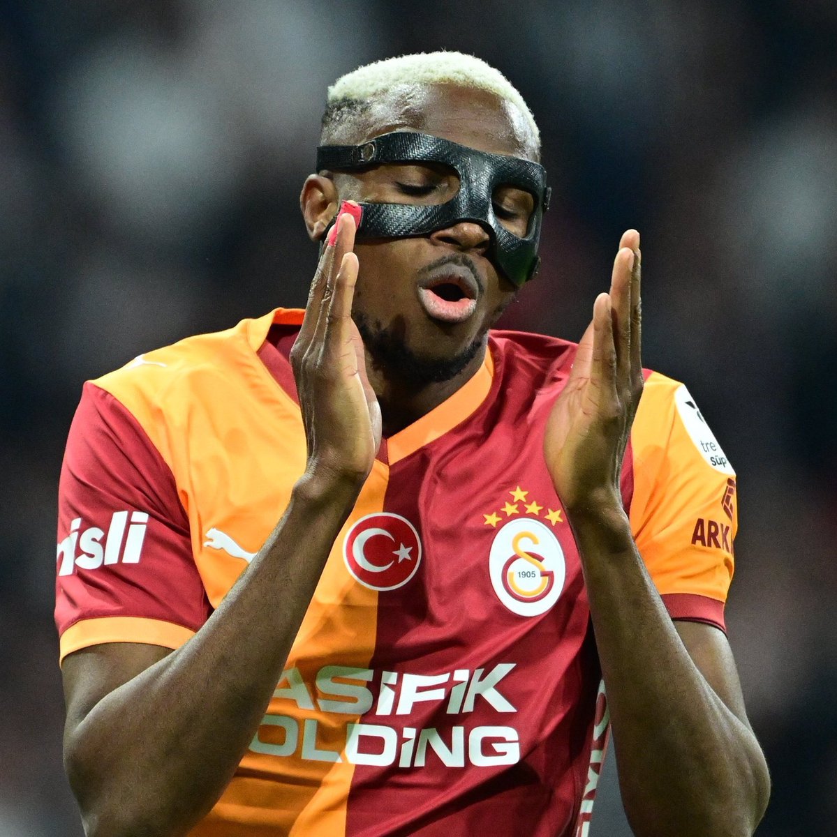 gala, the creator tweet media