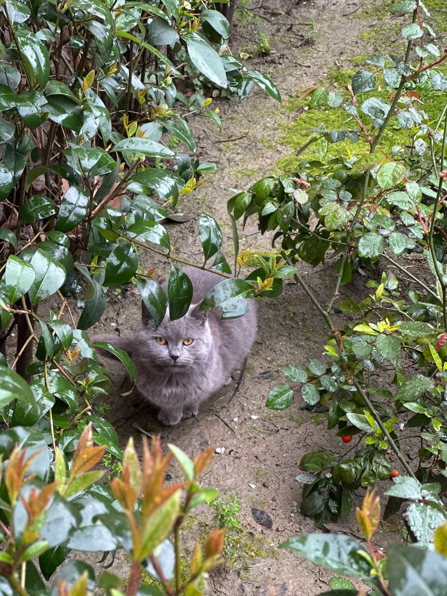 Emine 🇹🇷 tweet media